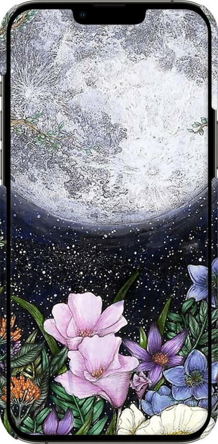 3D пластиковый матовый чехол Полночь в саду для Apple iPhone 13 Pro Max - 6259m-2371 изображение 