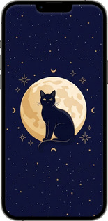 2D пластиковый чехол Cute Cat Celestial/Witchy для Apple iPhone 13 Pro Max - 6787t-2371 изображение 