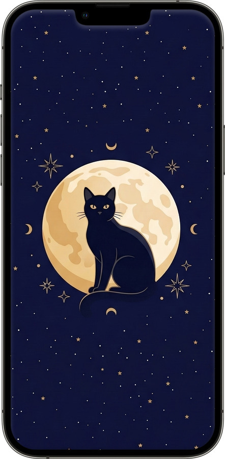 2D пластиковый чехол Cute Cat Celestial/Witchy для Apple iPhone 13 Pro Max - 6787t-2371 изображение 