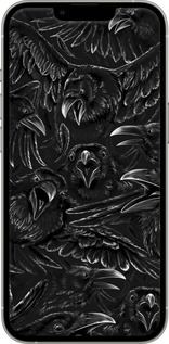 TPU чехол Воронья ярость для Apple iPhone 13 Pro - 6474b-2372 изображение 