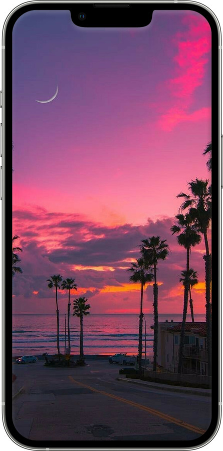 TPU чехол Пальмы для Apple iPhone 13 Pro - 5873b-2372 изображение 