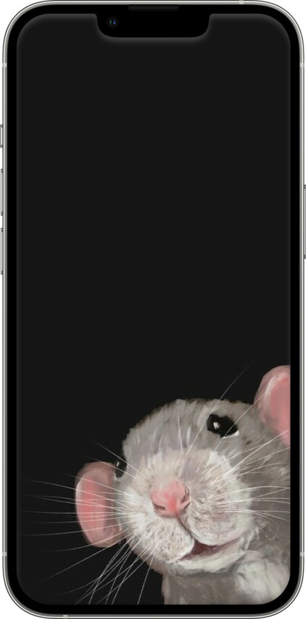 TPU чехол The Peeking Rat для Apple iPhone 13 Pro - 6442b-2372 изображение 