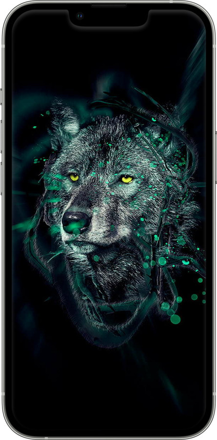 TPU чехол Wolf для Apple iPhone 13 Pro - 6610b-2372 изображение 