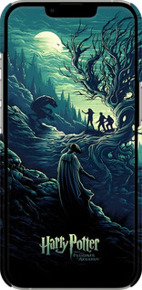 3D пластиковый матовый чехол Гарри Поттер 3 для Apple iPhone 13 Pro - 6338m-2372 изображение 
