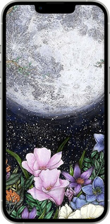 2D пластиковый чехол Полночь в саду для Apple iPhone 13 Pro - 6259t-2372 изображение 