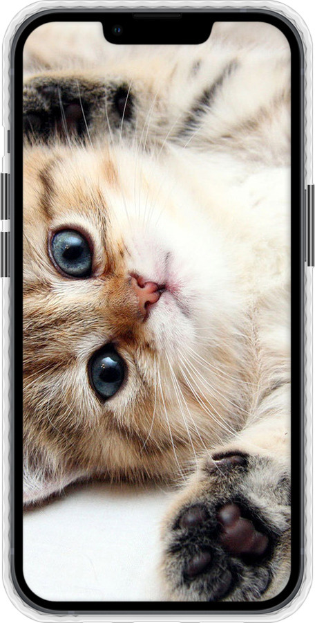 Чехол Bumper чехол Котик для Apple iPhone 13 - 6024pc-2374 изображение 