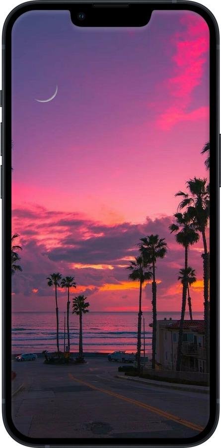 Силіконовий чехол Пальми для Apple iPhone 13 - 5873u-2374 изображение 