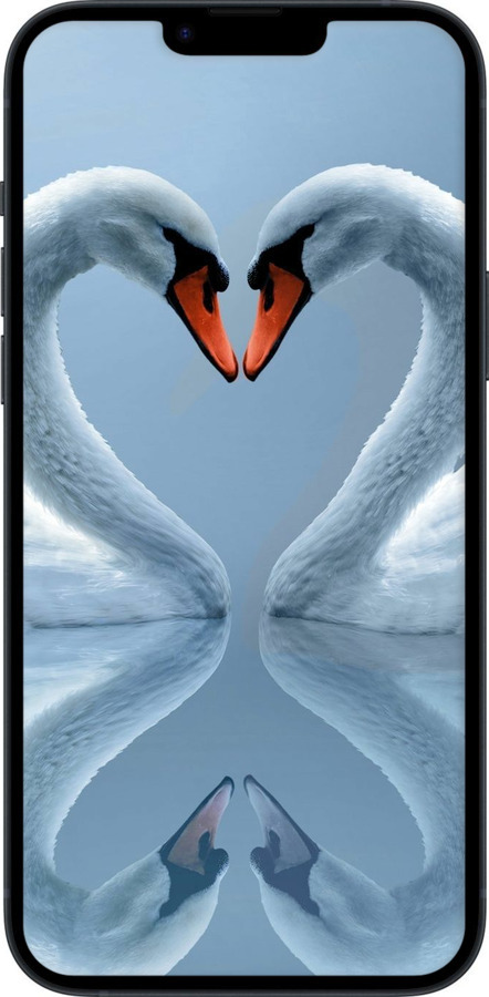 Силіконовий чехол Лебеді для Apple iPhone 14 Plus - 6007u-2645 изображение 