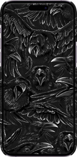 3D пластиковый матовый чехол Воронья ярость для Apple iPhone 14 Pro Max - 6474m-2667 изображение 