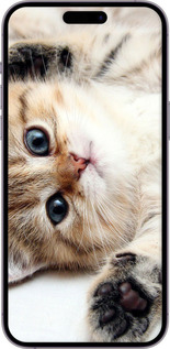 Силиконовый чехол Котик для Apple iPhone 14 Pro Max - 6024u-2667 изображение 