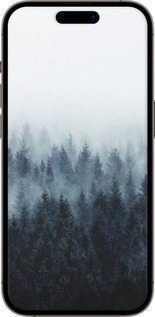 TPU чехол № 5406 для Apple iPhone 14 Pro - 5406b-2646 изображение 