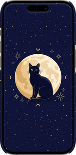 3D пластиковый матовый чехол Cute Cat Celestial/Witchy для Apple iPhone 14 Pro - 6787m-2646 изображение 