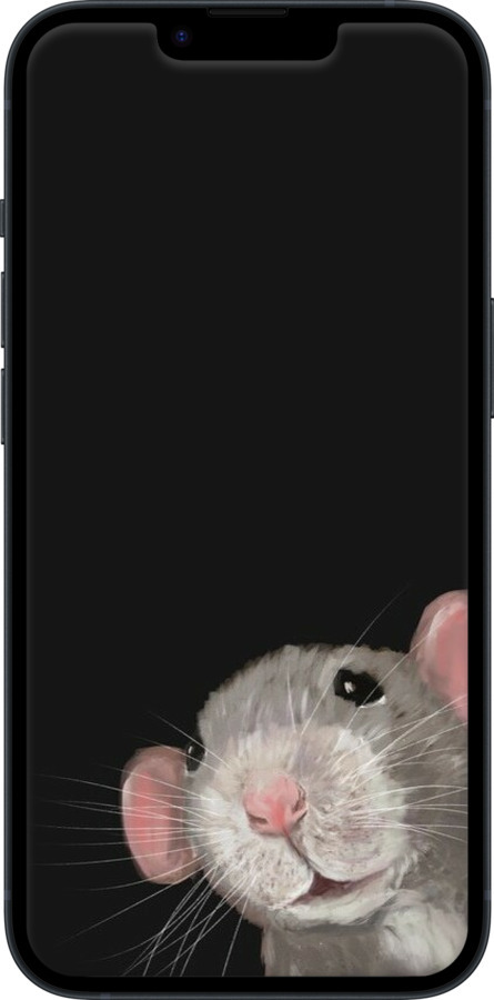 TPU чехол The Peeking Rat для Apple iPhone 14 - 6442b-2648 изображение 