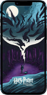 3D пластиковый матовый чехол Гарри Поттер 2 для Apple iPhone 14 - 6337m-2648 изображение 
