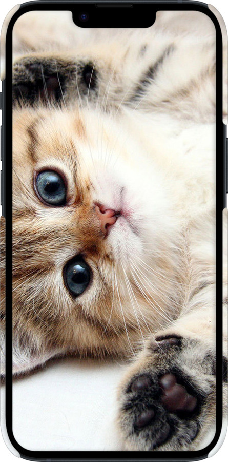 3D пластиковий матовий чехол Котик для Apple iPhone 14 - 6024m-2648 изображение 