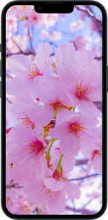 Силиконовый чехол Сакура для Apple iPhone 14 - 6029u-2648 изображение 