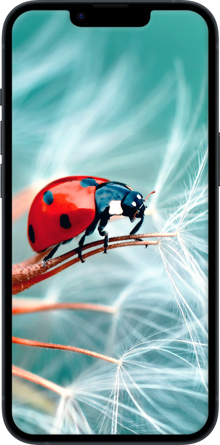 Силіконовий чехол Сонечко для Apple iPhone 14 - 6049u-2648 изображение 