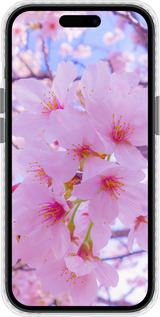 Чохол Bumper чехол Сакура для Apple iPhone 15 - 6029pc-3075 изображение 