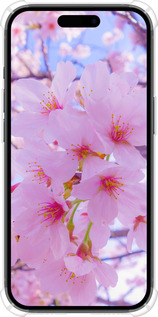Силикон с усиленными углами чехол Сакура для Apple iPhone 15 - 6029sp-3075 изображение 