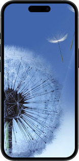 Силиконовый чехол Одуванчик для Apple iPhone 15 - 6005u-3075 изображение 