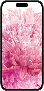 TPU чехол Хризантема для Apple iPhone 16 Plus - 4666b-3714 изображение 