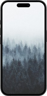 TPU чехол № 5406 для Apple iPhone 16 Plus - 5406b-3714 изображение 
