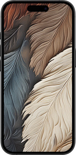 TPU чехол Листя в стилі бохо для Apple iPhone 16 Plus - 5643b-3714 изображение 