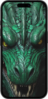 TPU чехол Зелёный дракон v2 для Apple iPhone 16 Plus - 5817b-3714 изображение 
