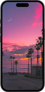 TPU чехол Пальми для Apple iPhone 16 Plus - 5873b-3714 изображение 