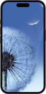 TPU чехол Кульбабка для Apple iPhone 16 Plus - 6005b-3714 изображение 