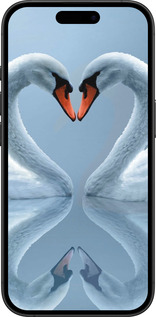 TPU чехол Лебеди для Apple iPhone 16 Plus - 6007b-3714 изображение 
