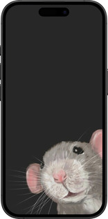 TPU чехол The Peeking Rat для Apple iPhone 16 Plus - 6442b-3714 изображение 