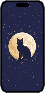 TPU чехол Cute Cat Celestial/Witchy для Apple iPhone 16 Plus - 6787b-3714 изображение 