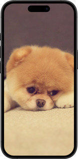 TPU чехол Boo 2 для Apple iPhone 16 Plus - 890b-3714 изображение 
