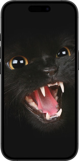 TPU чехол Чёрная кошка для Apple iPhone 16 Plus - 932b-3714 изображение 