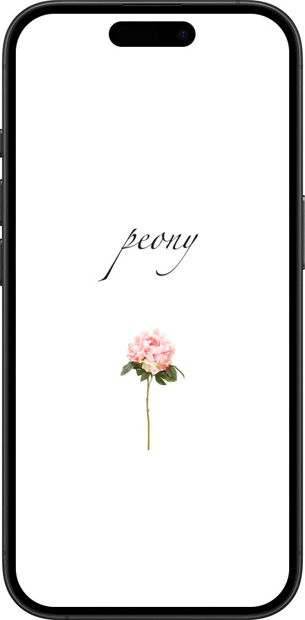 TPU чехол Пион для Apple iPhone 16 Plus - 4366b-3714 изображение 