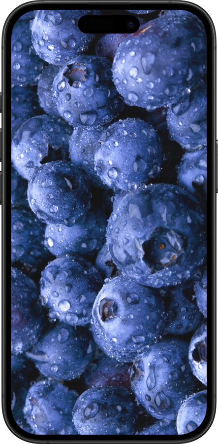 TPU чехол Голубика для Apple iPhone 16 Plus - 4459b-3714 изображение 