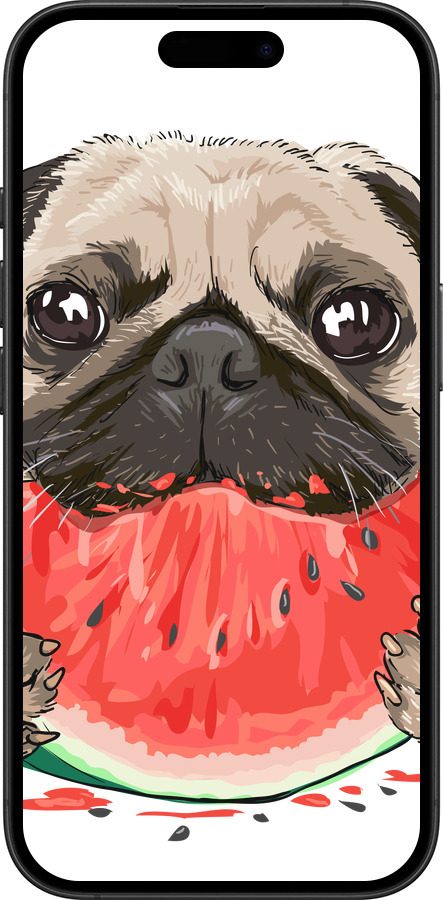 TPU чехол Мопс і кавун для Apple iPhone 16 Plus - 4665b-3714 изображение 