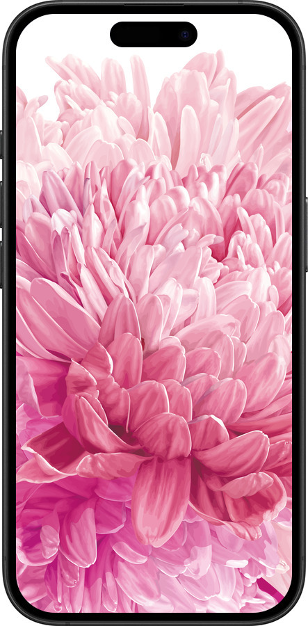 TPU чехол Хризантема для Apple iPhone 16 Plus - 4666b-3714 изображение 