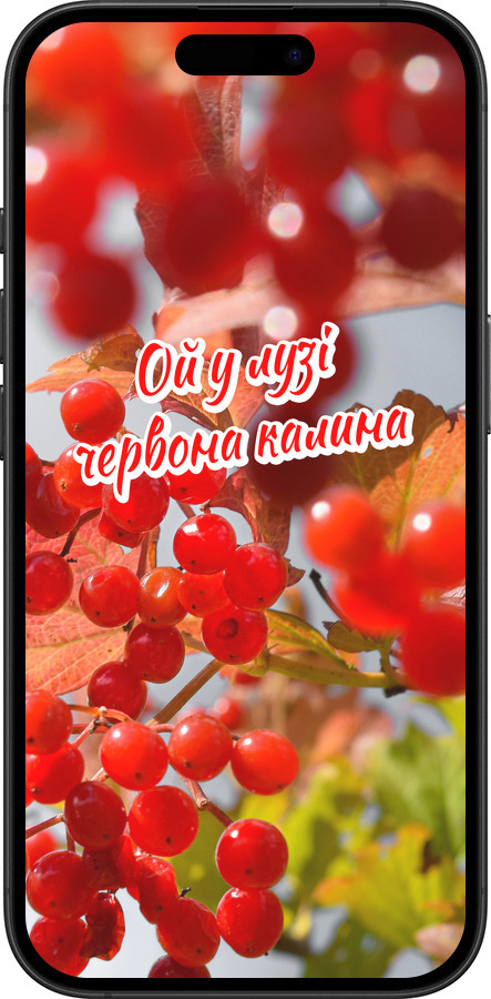 TPU чехол Калина для Apple iPhone 16 Plus - 5454b-3714 изображение 