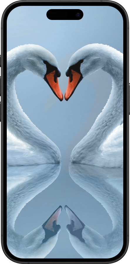 TPU чехол Лебеди для Apple iPhone 16 Plus - 6007b-3714 изображение 