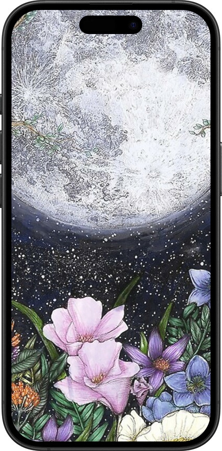 TPU чехол Полночь в саду для Apple iPhone 16 Plus - 6259b-3714 изображение 