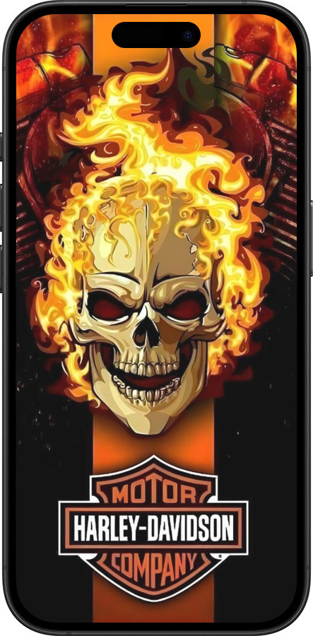 TPU чехол Харлей девидсон для Apple iPhone 16 Plus - 6370b-3714 изображение 