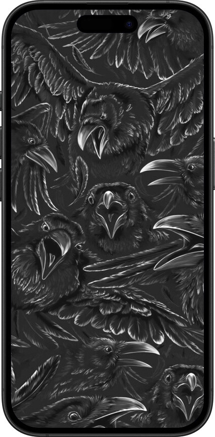 Силиконовый чехол Воронья ярость для Apple iPhone 16 Plus - 6474u-3714 изображение 