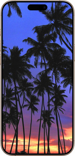 TPU чехол Пальми для Apple iPhone 16 Pro Max - 4324b-3706 изображение 