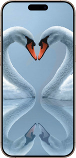 TPU чехол Лебеди для Apple iPhone 16 Pro Max - 6007b-3706 изображение 