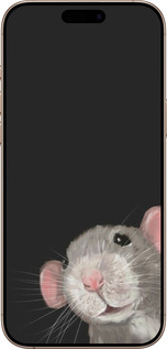 TPU чехол The Peeking Rat для Apple iPhone 16 Pro Max - 6442b-3706 изображение 