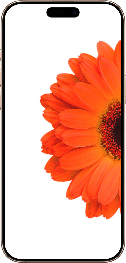 TPU чехол Гербера 1 для Apple iPhone 16 Pro Max - 4534b-3706 изображение 