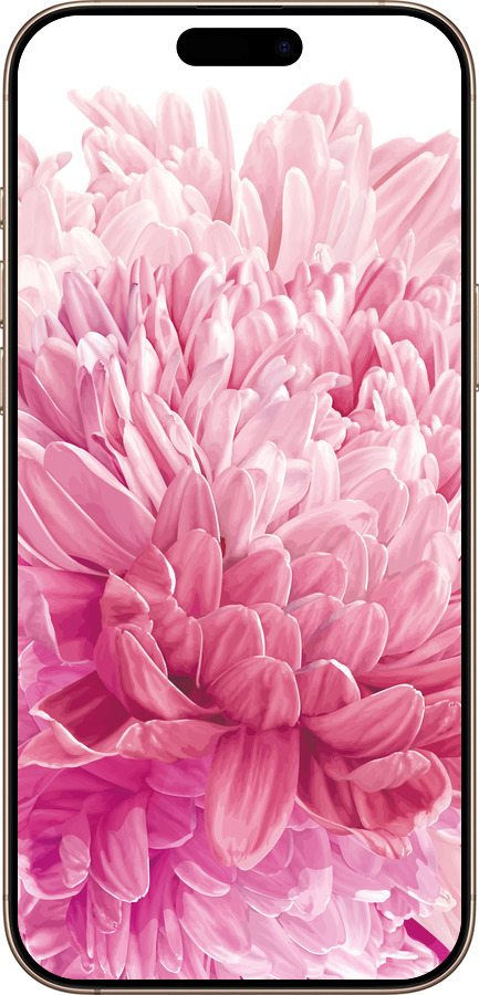 TPU чехол Хризантема для Apple iPhone 16 Pro Max - 4666b-3706 изображение 