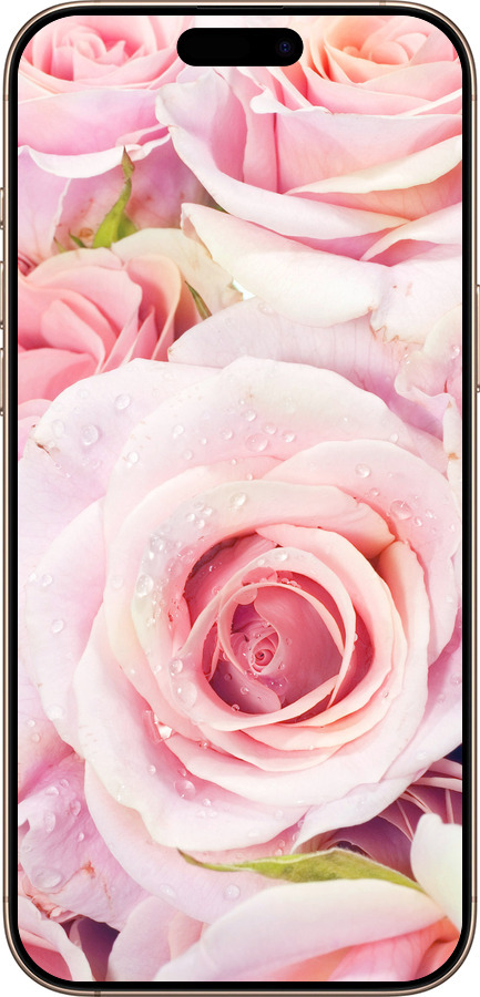 TPU чехол Розы для Apple iPhone 16 Pro Max - 525b-3706 изображение 